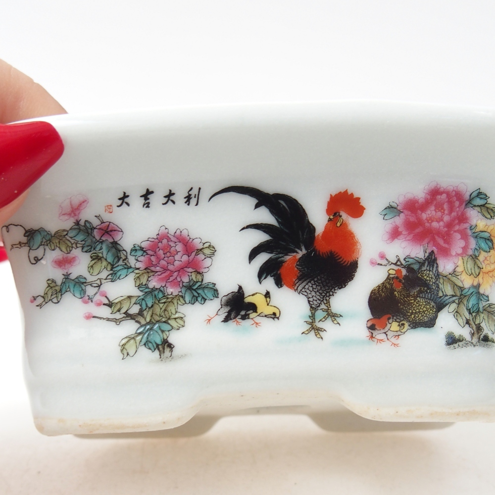 Mini bonsaischaal 10 x 7,5 x 4 cm, kleur wit