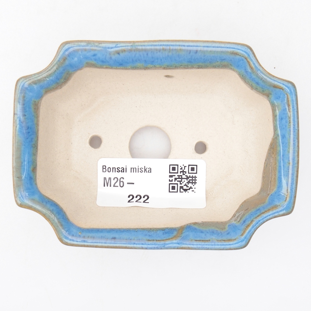 Mini bonsaischaal 9 x 6,5 x 3,5 cm, kleur blauw