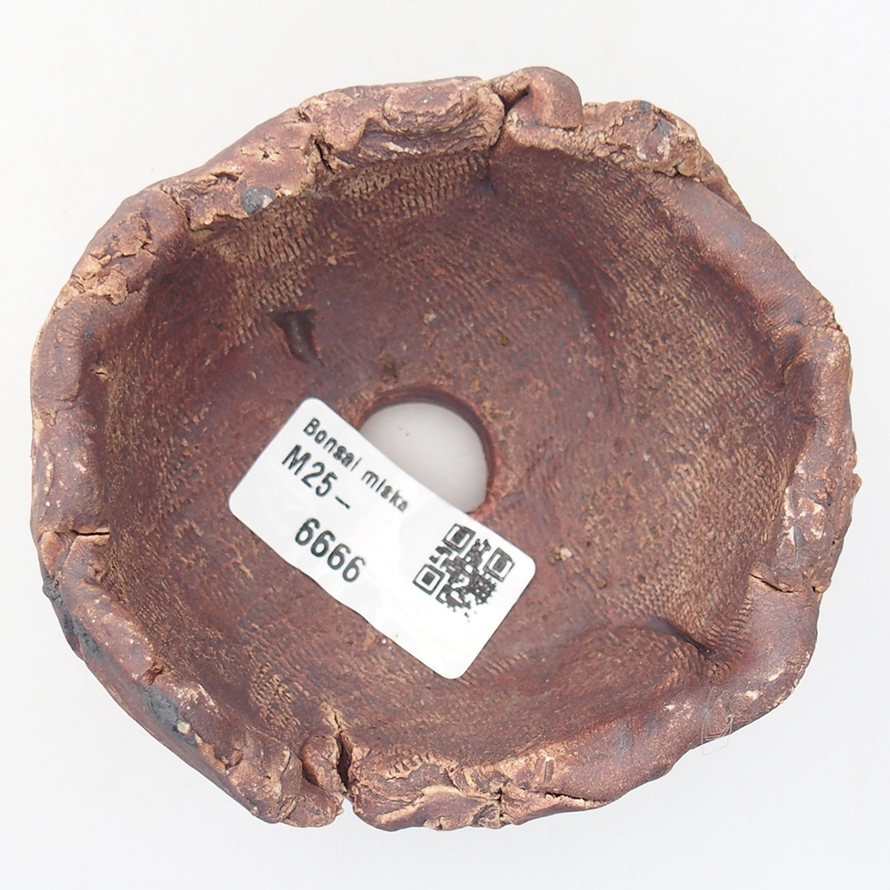 Keramisch Schelp 9 x 8,5 x 6 cm , kleur bruin