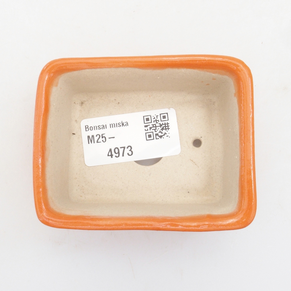 Mini bonsaischaal 8 x 6 x 3,5 cm, oranje