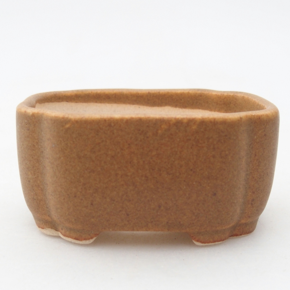 Mini bonsaischaal 6 x 5 x 3 cm, bruin