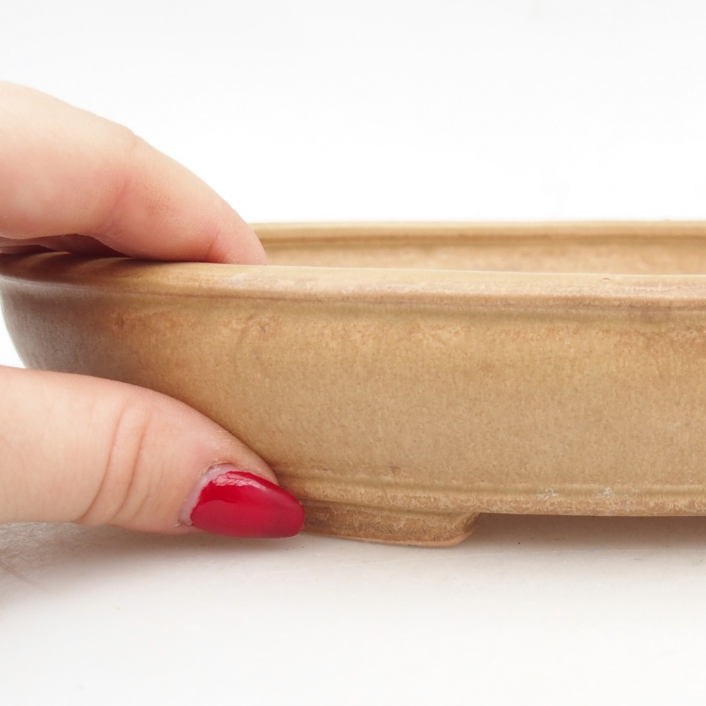 Bonsaischaal van keramiek 24,5 x 20 x 4 cm, kleur beige