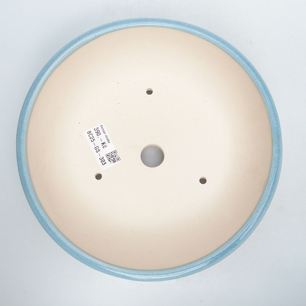 Kom 21 x 21 x 8,5 cm blauw