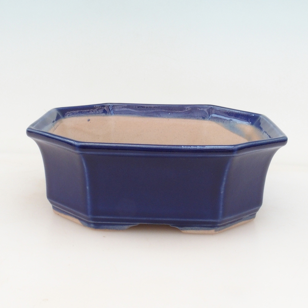 Bonsaischaal H14 - 17,5 x 17,5 x 6 - blauw