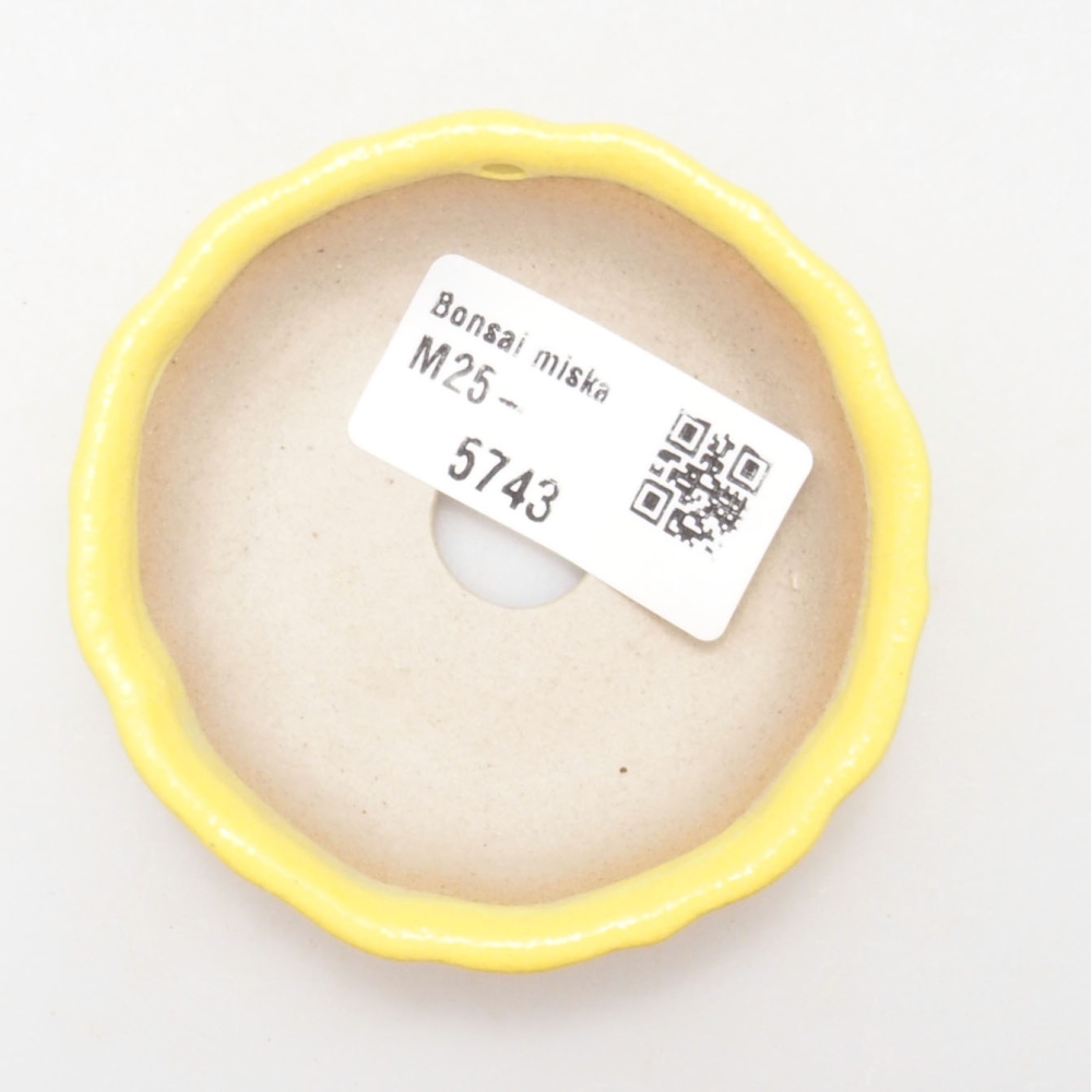 Bonsaischaal van keramiek 7 x 7 x 2 cm, geel