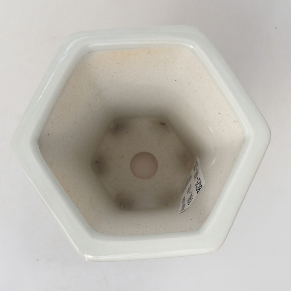 Bonsaischaal van keramiek 10 x 9 x 9 cm, kleur wit