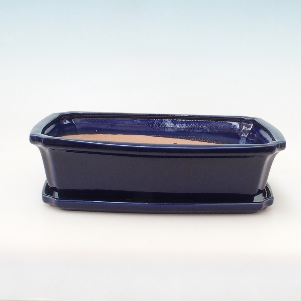 Bonsai kom + schotel H07 - 30 x 20,5 x 8 cm - blauw