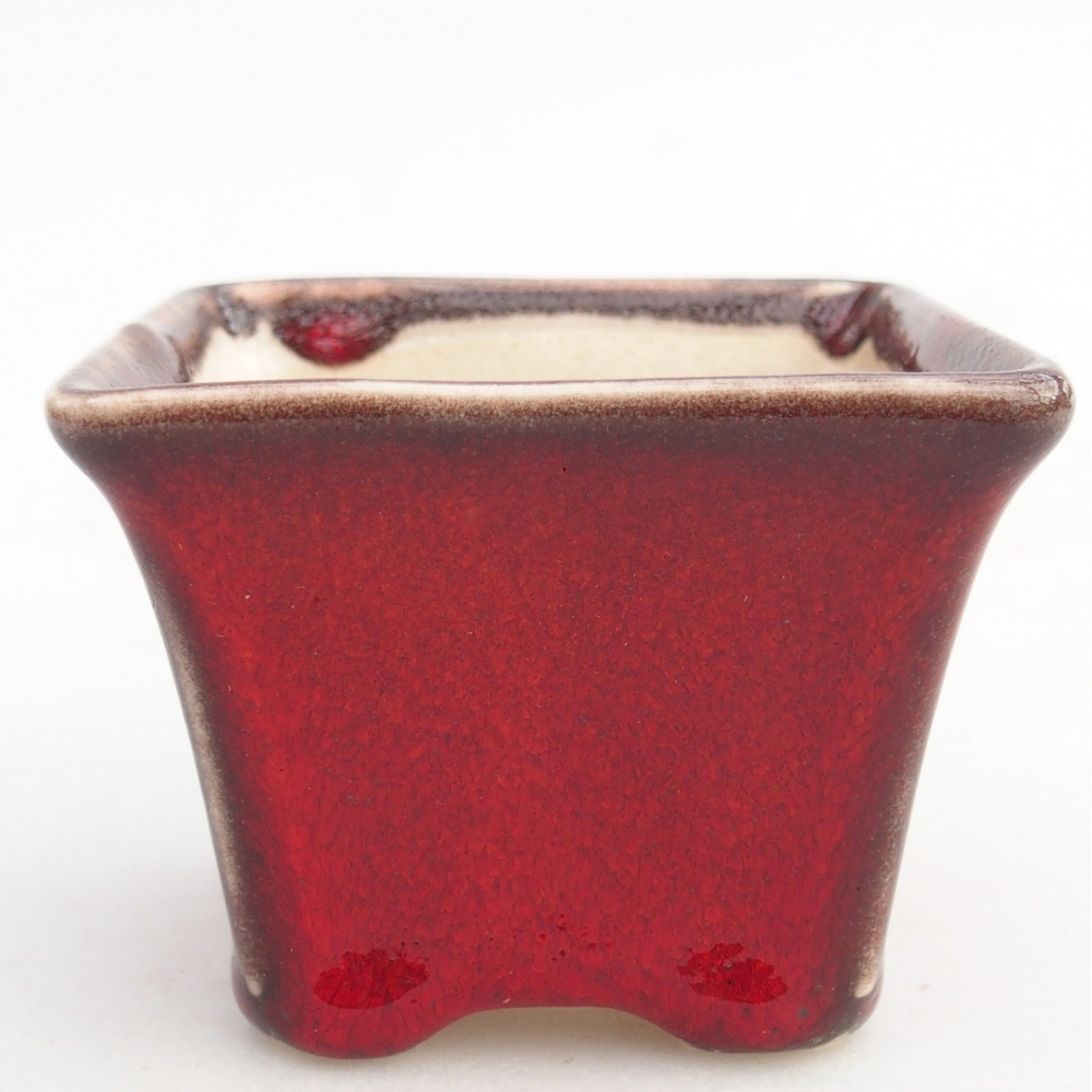 Mini bonsaischaal 6 x 6 x 5 cm, kleur rood