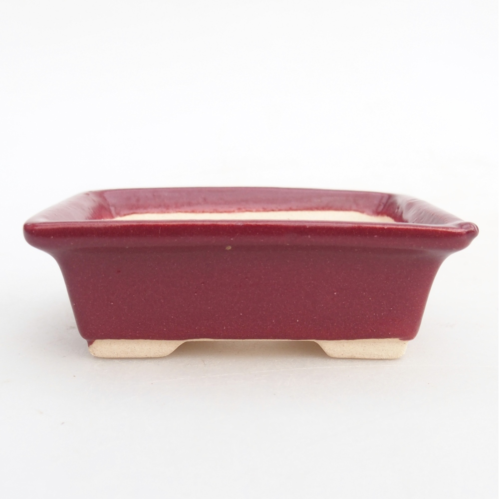 Mini bonsaischaal 8 x 6 x 2,5 cm, bordeauxrood
