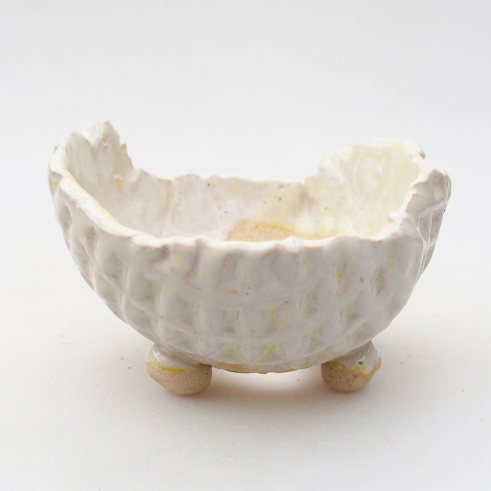 Schelp van keramiek 8 x 8 x 5 cm , kleur groen