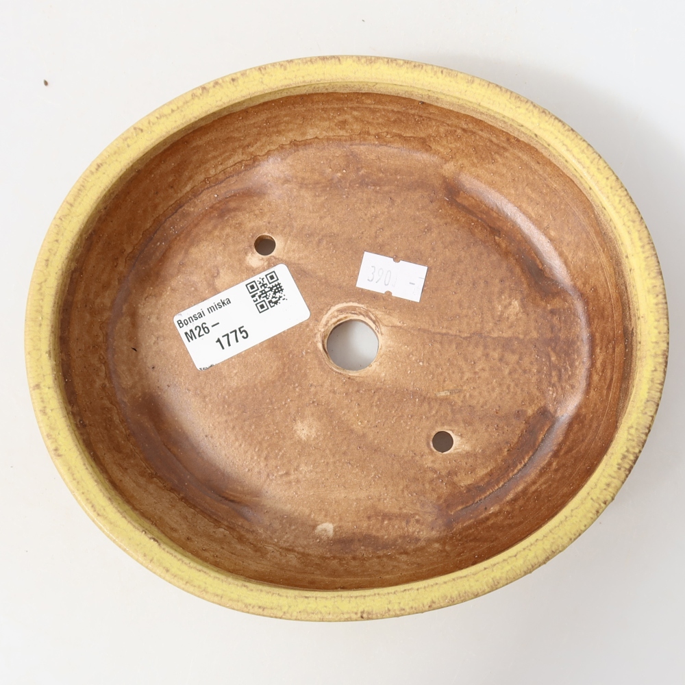 Keramische bonsaipot 18,5 x 16,5 x 4,5 cm, kleur geel