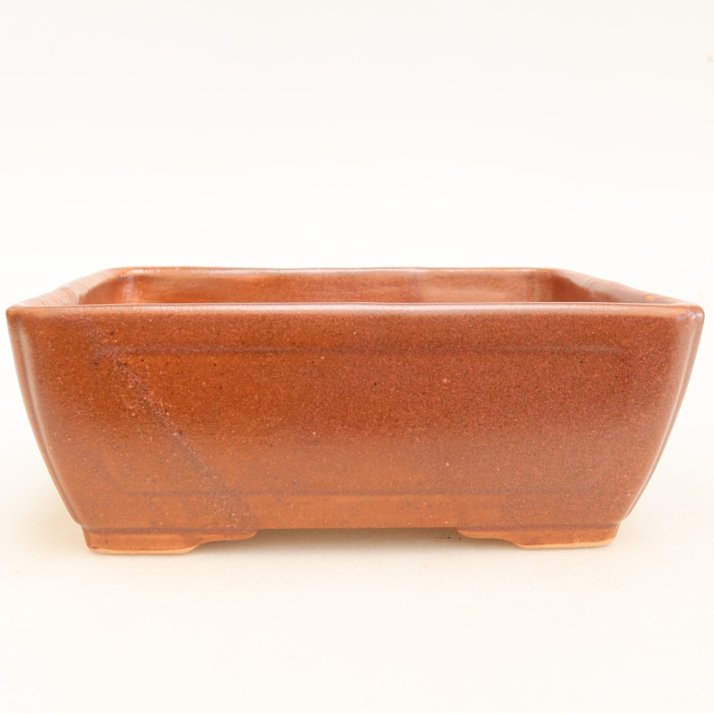 Keramische bonsaipot 16 x 12 x 6 cm, kleur bordeauxrood