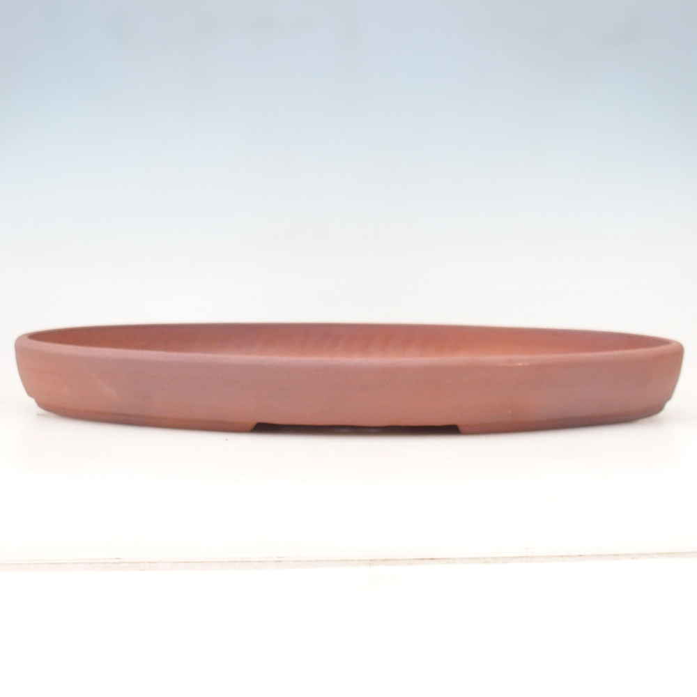 Bonsaischaal 48,5 x 31 x 4,5 cm , kleur bruin - UITSLUITEND PERSOONLIJK AFHALEN OF PALLETVERVOER