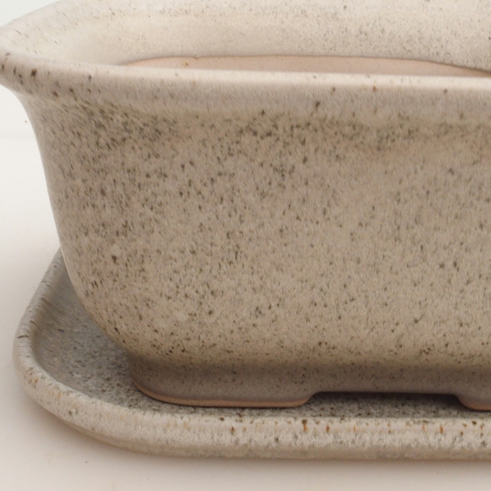 Bonsai kom + schotel H36 - 17 x 15 x 7,5 cm - beige