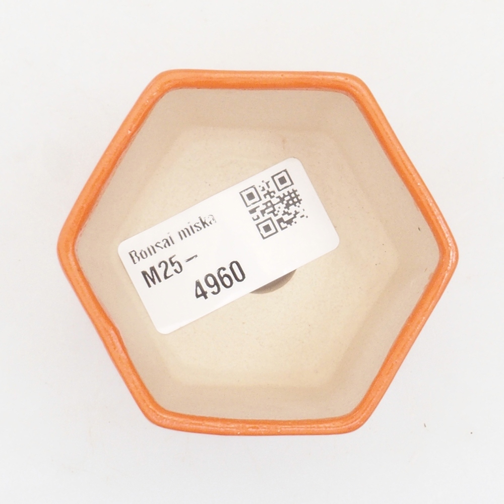 Mini bonsaischaal 6,5 x 6 x 4,5 cm, oranje