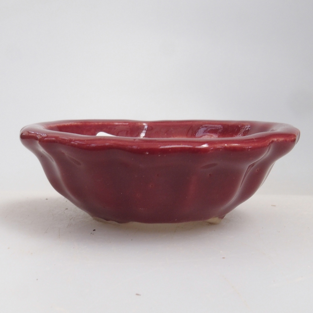 Mini bonsaischaal 5 x 5 x 1,5 cm, kleur bordeauxrood
