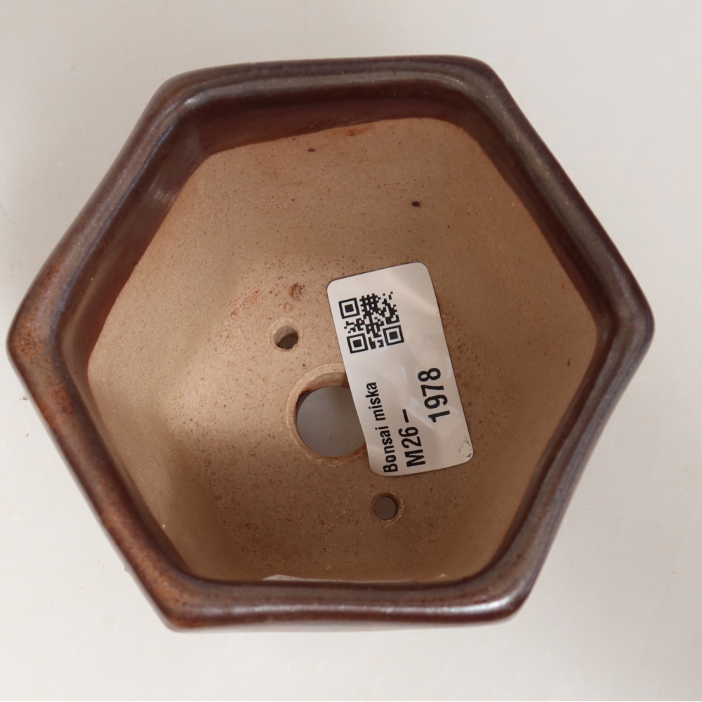 Keramische bonsaipot 9 x 8,5 x 8 cm, kleur bruin