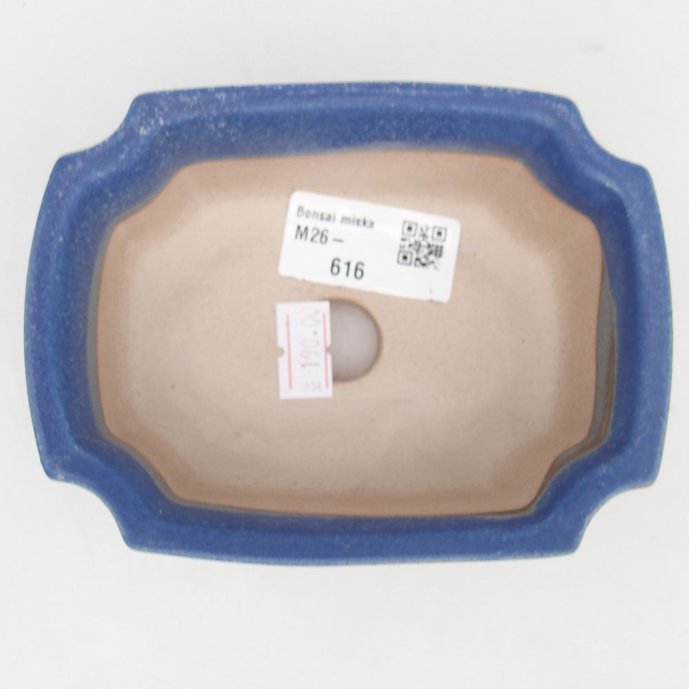 Bonsaischaal van keramiek 12,5 x 9 x 5,5 cm, kleur blauw