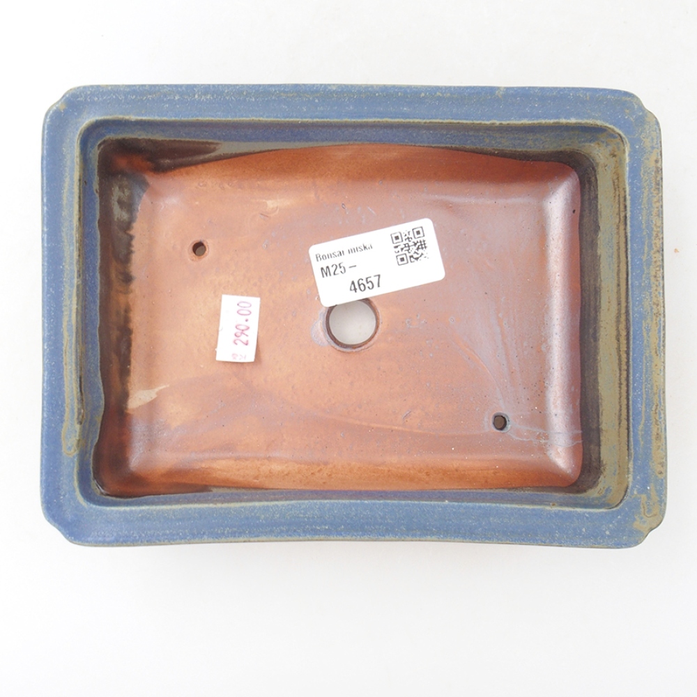 Bonsaischaal van keramiek 17,5 x 13 x 4 cm, kleur blauw