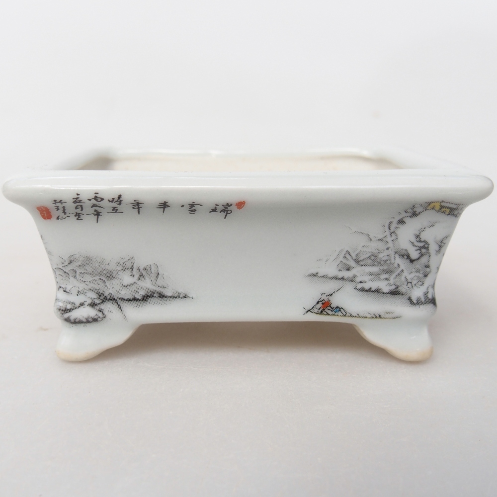 Mini bonsaischaal 8 x 6 x 3 cm, wit