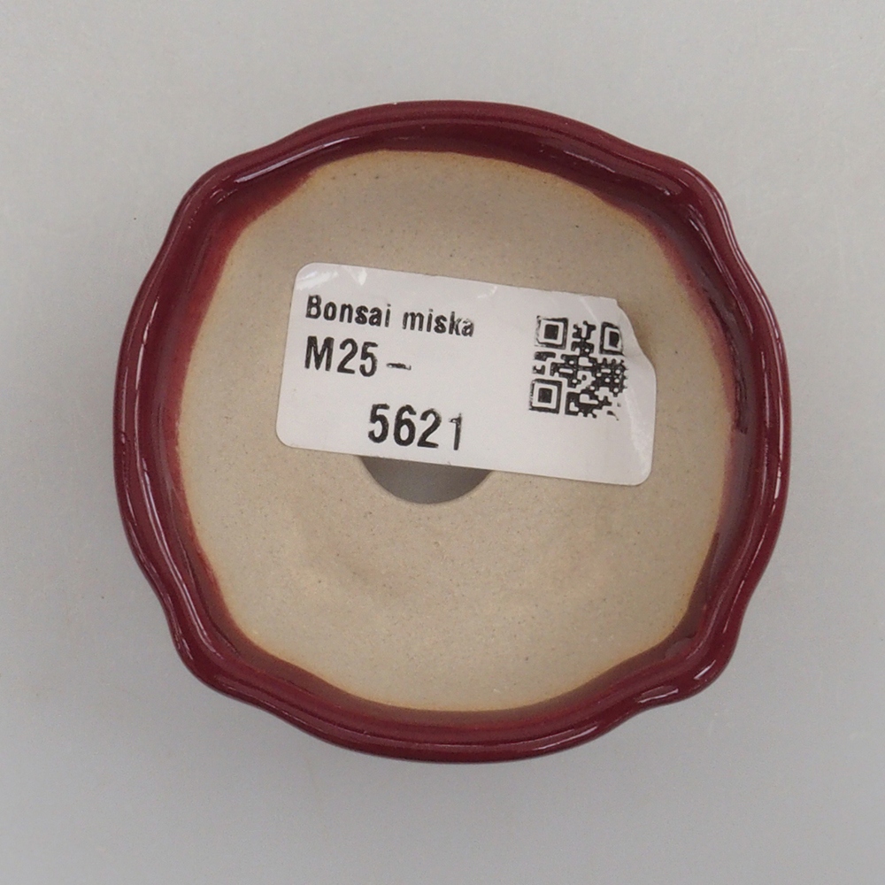 Mini bonsaischaal 6 x 6 x 2,5 cm, bordeauxrood