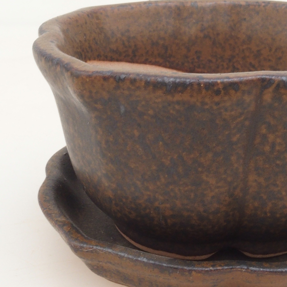 Bonsai kom + schotel H95 - bruin