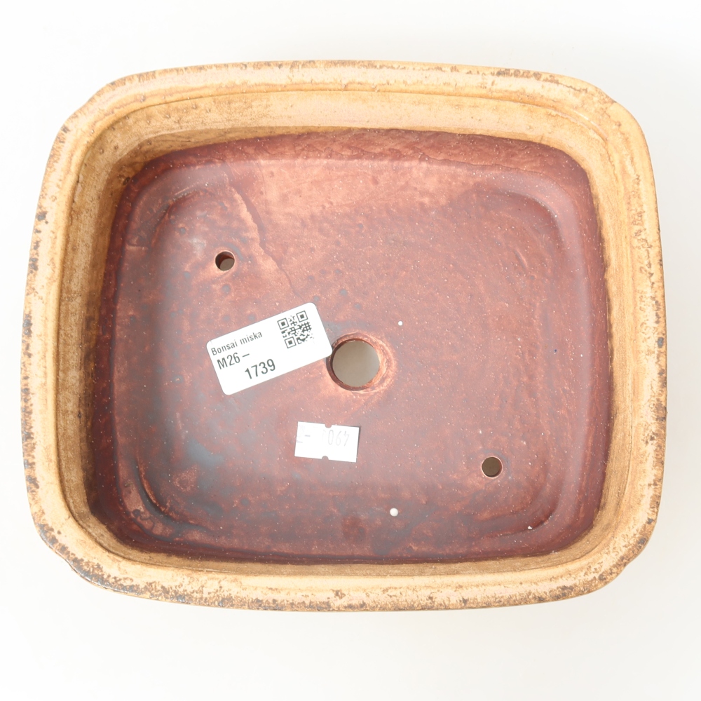 Keramische bonsaipot 19,5 x 17 x 6 cm, kleur roze