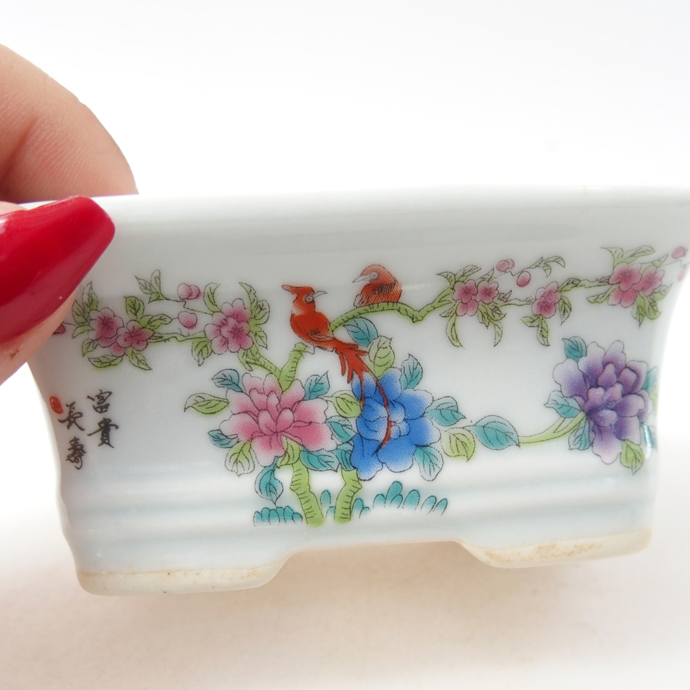 Mini bonsaischaal 10 x 7,5 x 4 cm, kleur wit