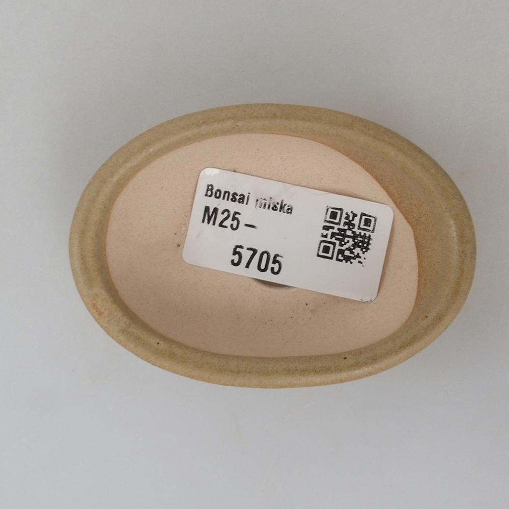 Mini bonsaischaal 7 x 5 x 2 cm, bruin