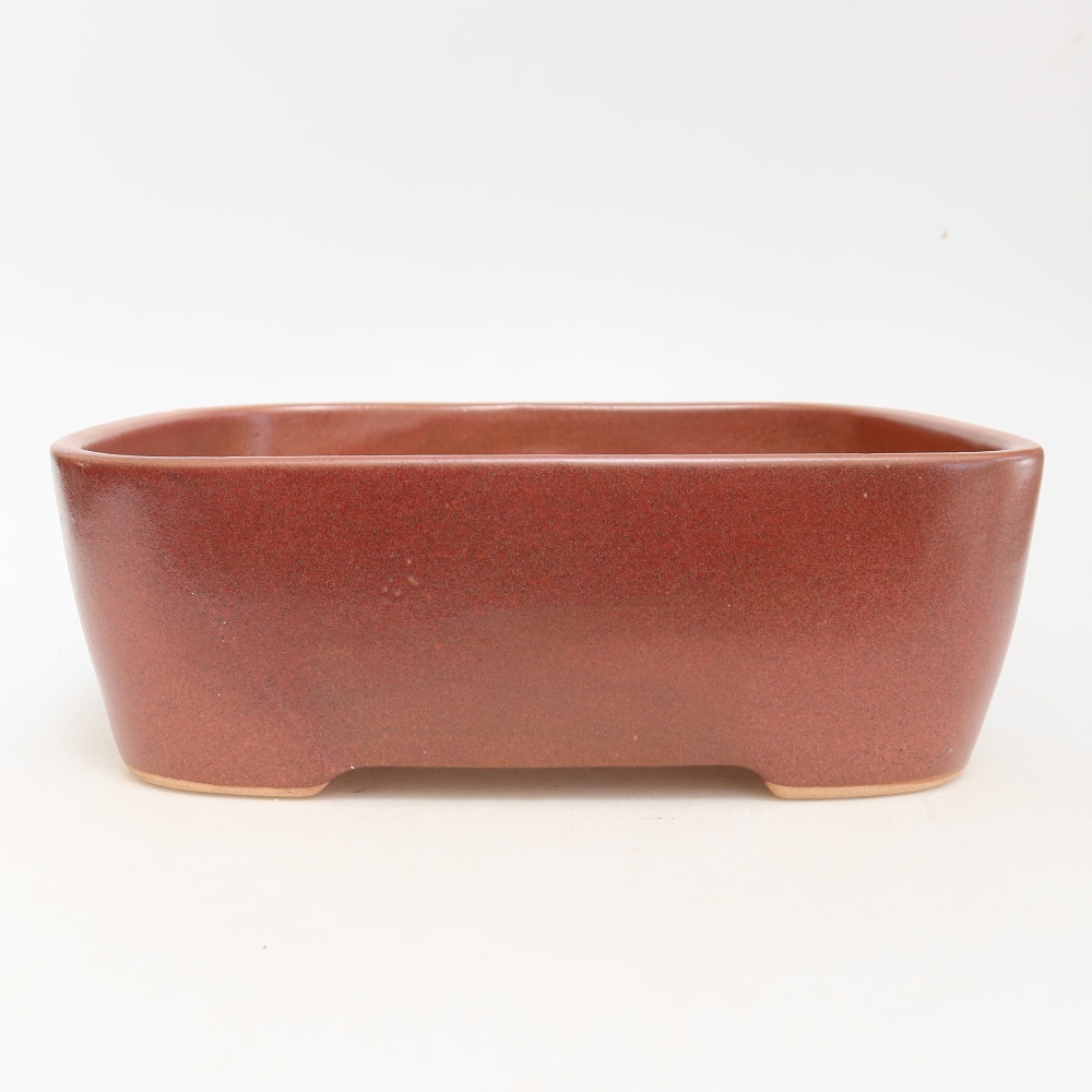 Keramische bonsaipot 23 x 17,5 x 7,5 cm, kleur bordeauxrood