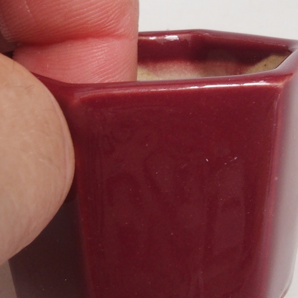 Mini bonsaischaal 4 x 4 x 3,5 cm, bordeauxrood