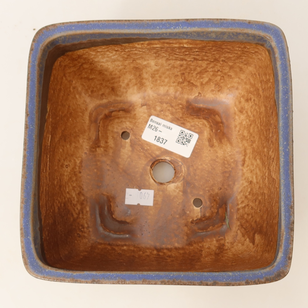 Keramische bonsaipot 16,5 x 16,5 x 9,5 cm, kleur: blauw