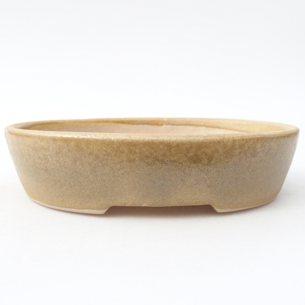 Bonsaischaal van keramiek 17 x 13,5 x 4 cm, kleur beige