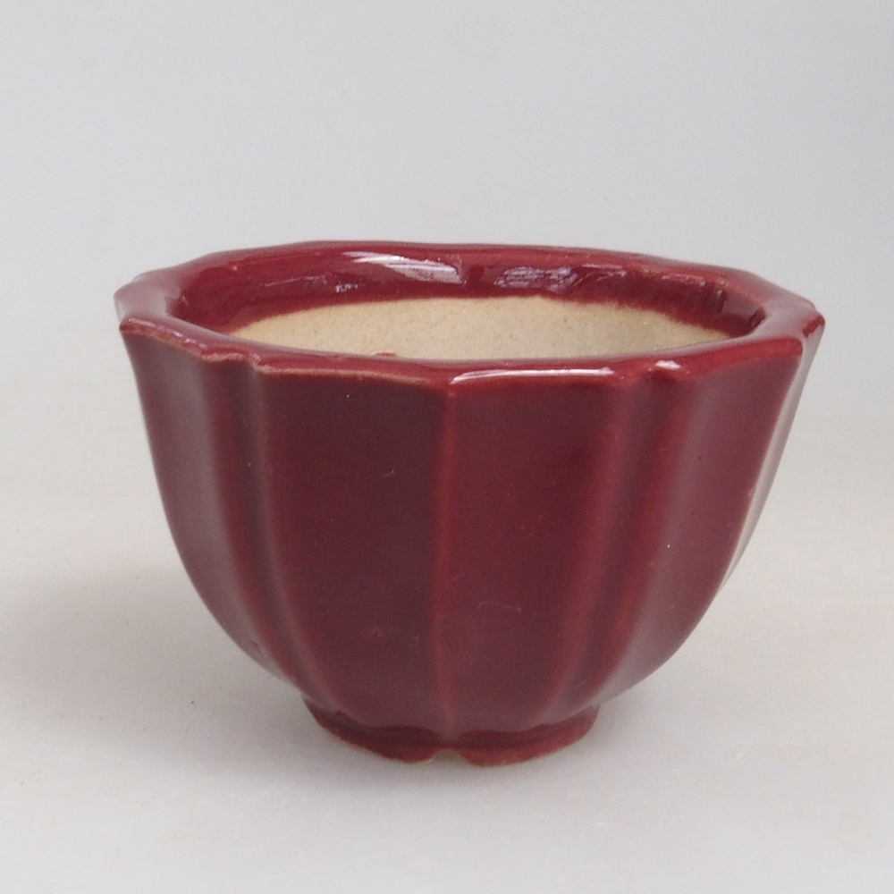 Mini bonsaischaal 5 x 5 x 3 cm, bordeauxrood