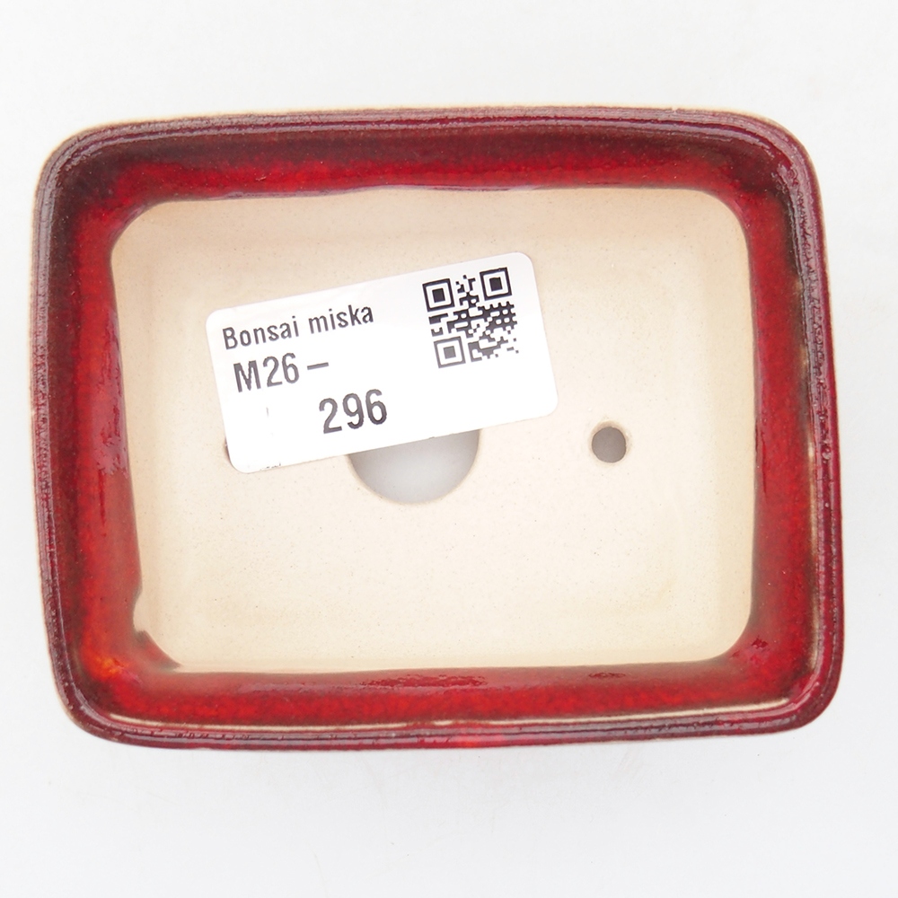 Mini bonsaischaal 8,5 x 6,5 x 3,5 cm, kleur rood