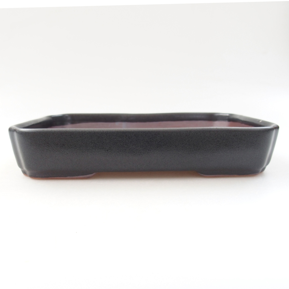 Bonsaischaal van keramiek 22 x 17 x 5 cm, groen