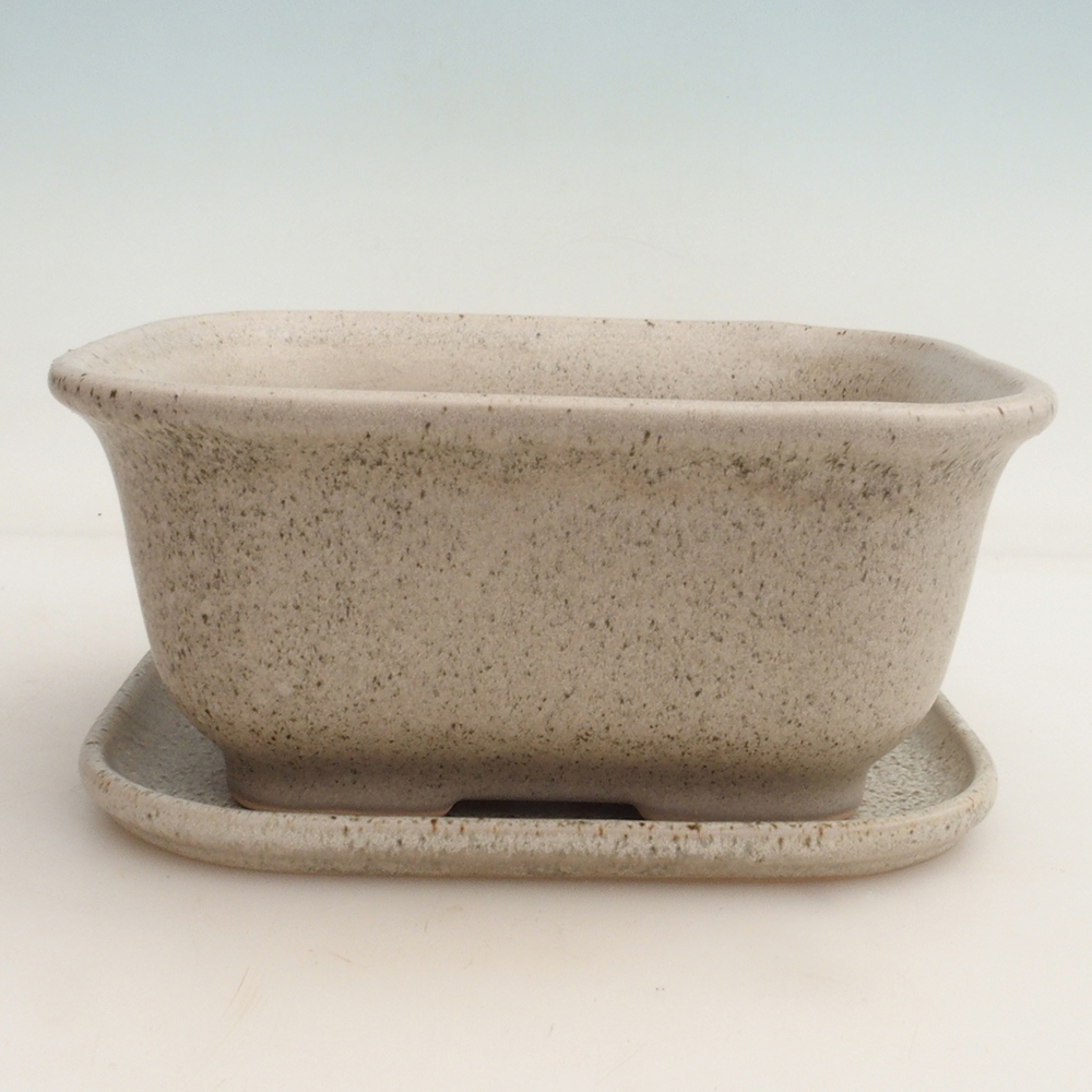 Bonsai kom + schotel H36 - 17 x 15 x 7,5 cm - beige