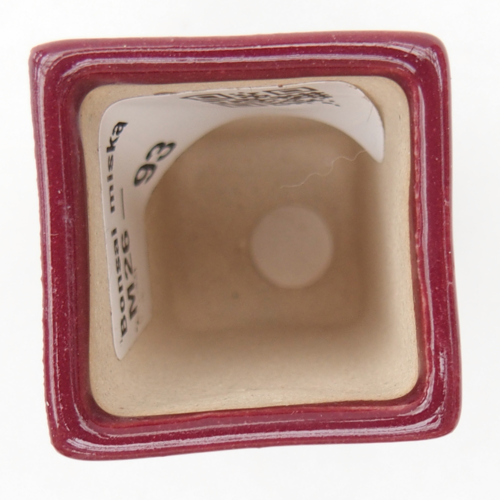 Mini bonsaischaal 3 x 3 x 5,5 cm, bordeauxrood