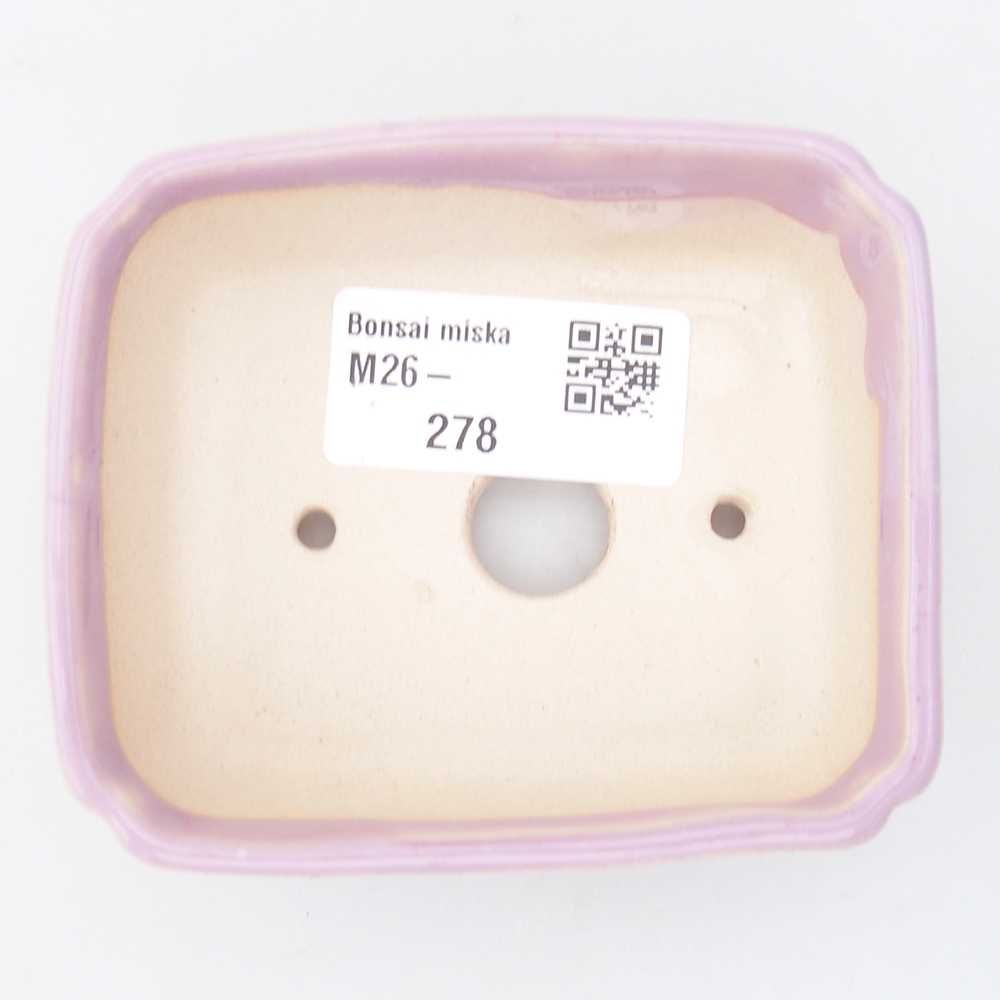 Mini bonsaischaal 8,5 x 7,5 x 3 cm, roze