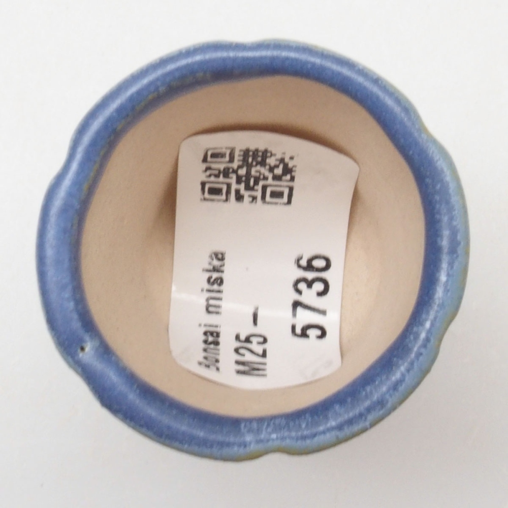 Mini bonsaischaal 3,5 x 3,5 x 4 cm, kleur blauw