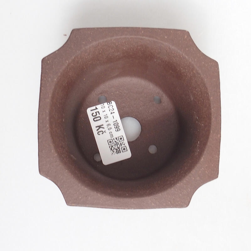 Bonsaischaal 10 x 10 x 7 cm, bruin