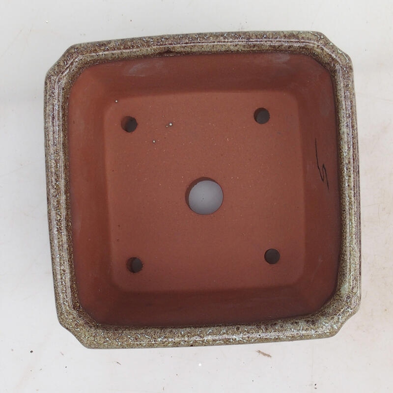 Bonsaischaal 12 x 12 x 8 cm, bruin