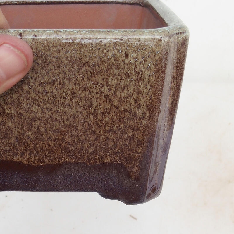 Bonsaischaal 12 x 12 x 8 cm, bruin