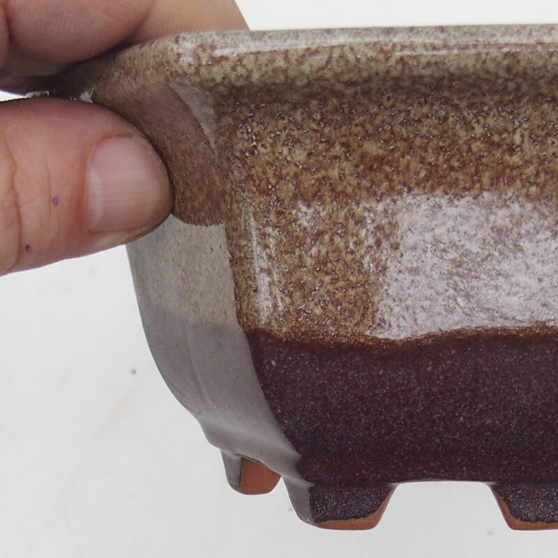 Bonsaischaal 13 x 12 x 7 cm, kleur bordeaux bruin