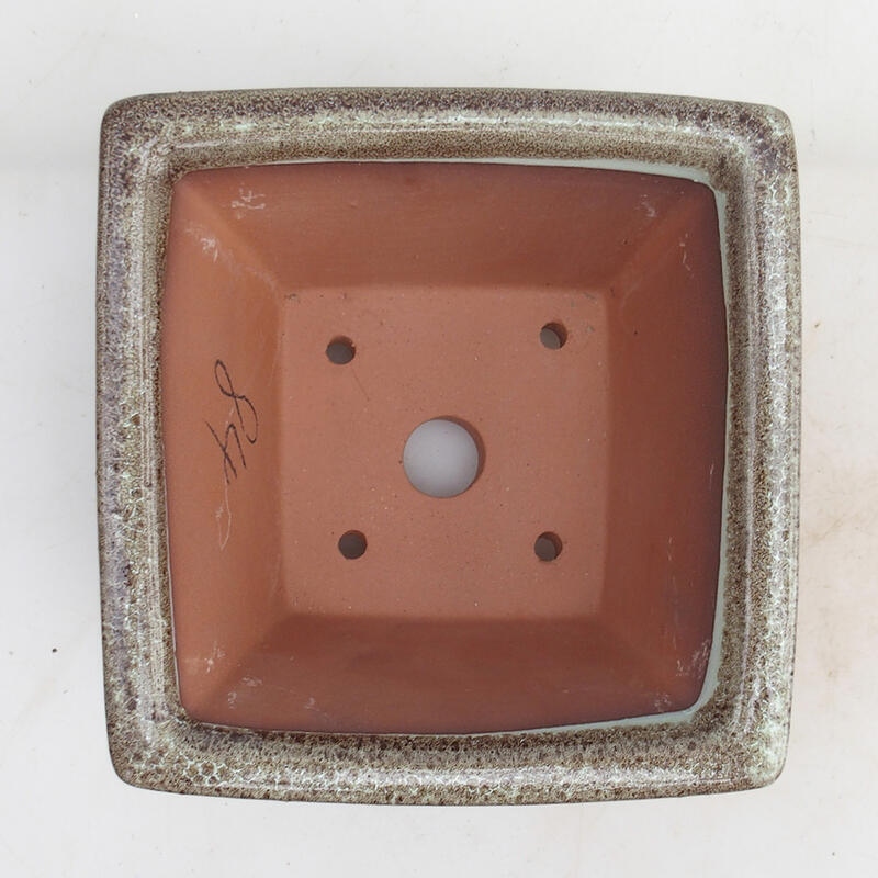 Bonsaischaal 14,5 x 14,5 x 8,5 cm, kleur bordeauxrood