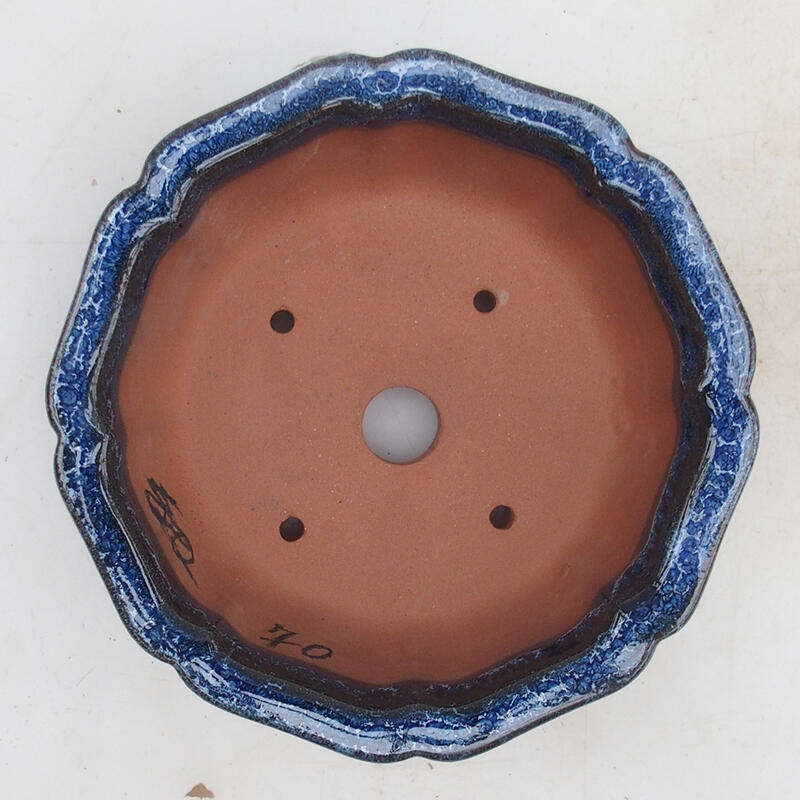 Bonsaischaal 14 x 14 x 5,5 cm, kleur blauw