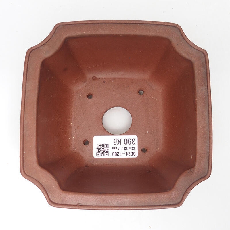 Bonsaischaal 14 x 14 x 7 cm, bruin