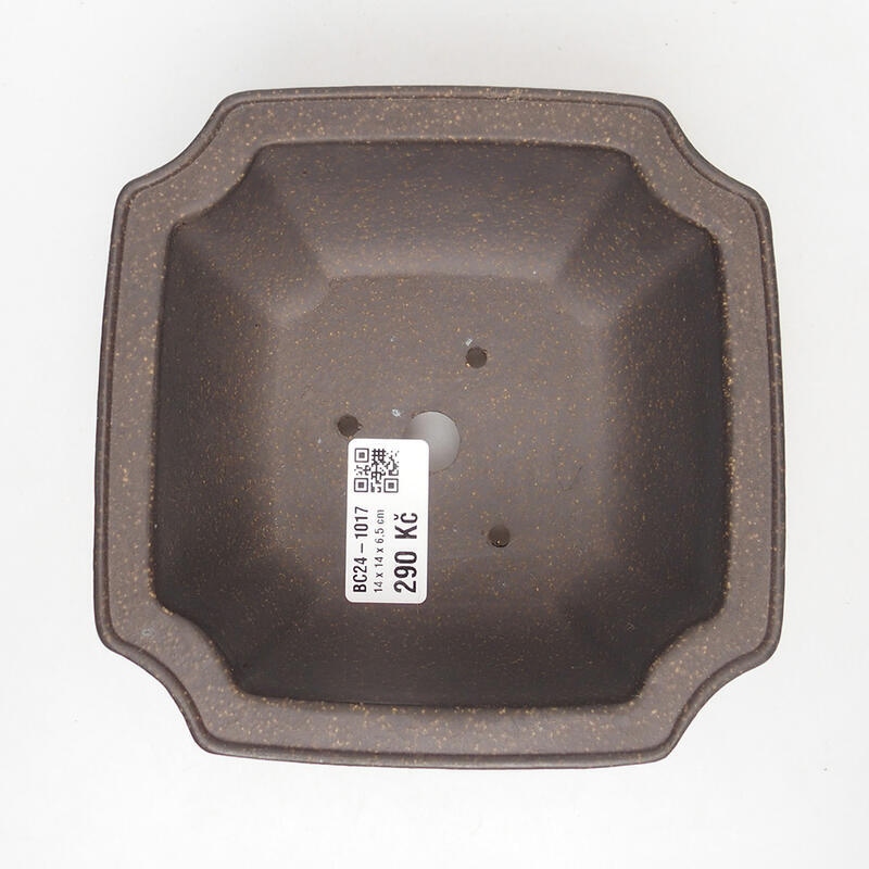 Bonsaischaal 14 x 14 x 7 cm, kleur okerbruin