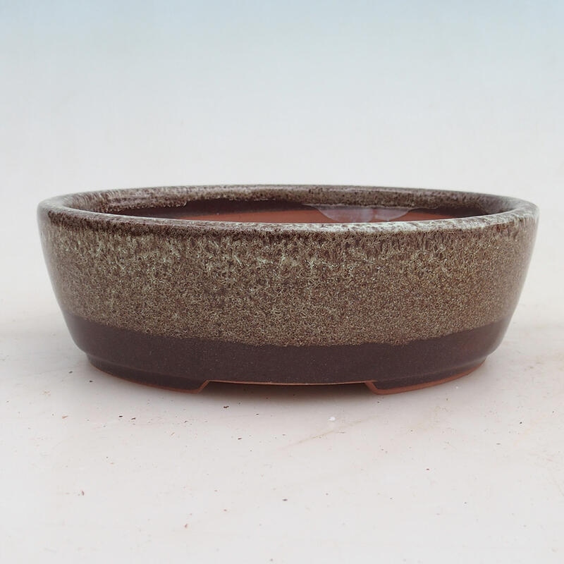 Bonsaischaal 15,5 x 13 x 5 cm, bruin