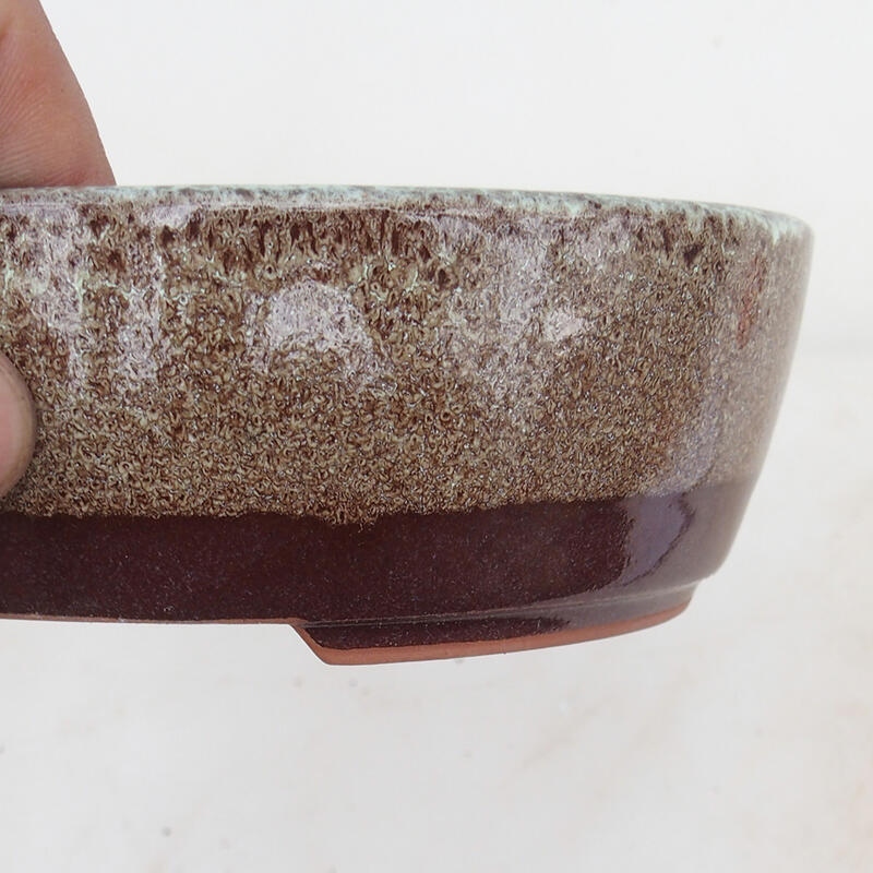 Bonsaischaal 15,5 x 13 x 5 cm, bruin